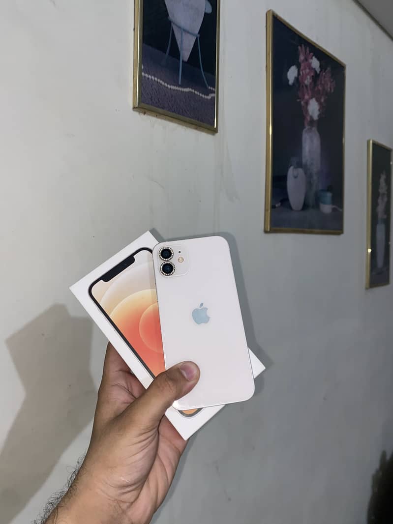 Apple iPhone 12 1