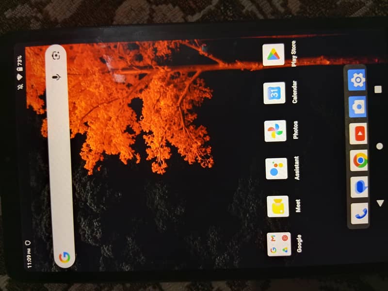 Avidpad A30 6