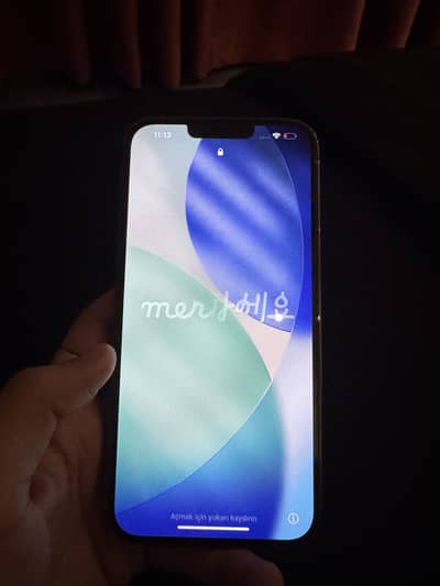Apple iPhone 13 Pro Max