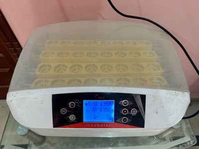 Urgent sale! Incubators/Hatching Machines