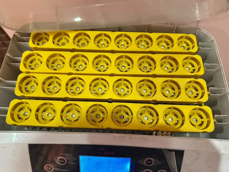 Urgent sale! Incubators/Hatching Machines — photo 2
