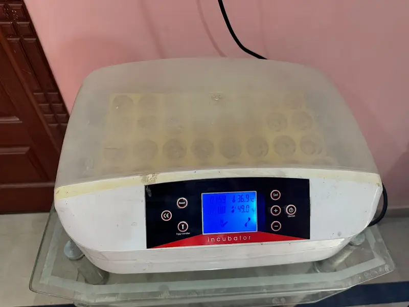Urgent sale! Incubators/Hatching Machines — photo 4