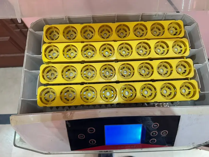 Urgent sale! Incubators/Hatching Machines — photo 5