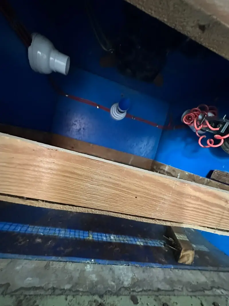 Urgent sale! Incubators/Hatching Machines — photo 7