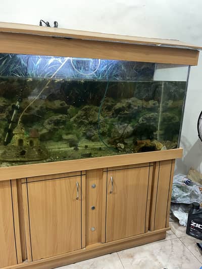 Fish Aquarium 57 x 29 x 20.5
