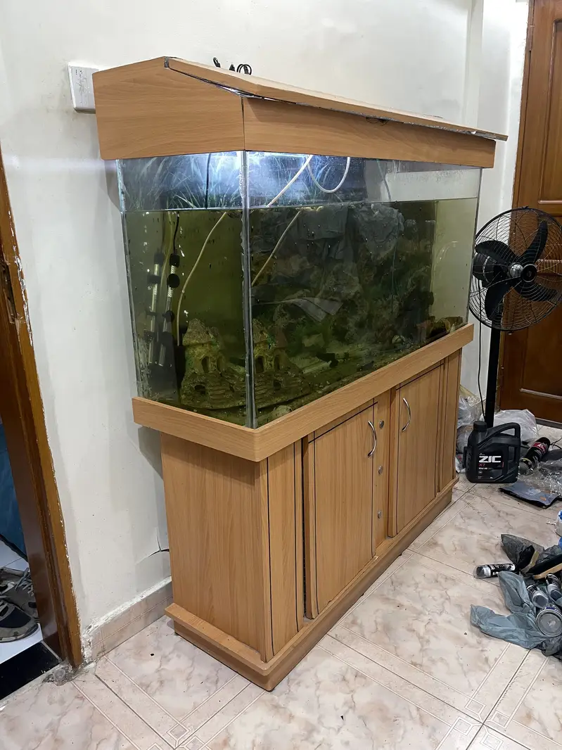 Fish Aquarium 57 x 29 x 20.5 — photo 2