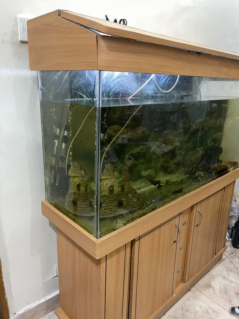 Fish Aquarium 57 x 29 x 20.5 — photo 3