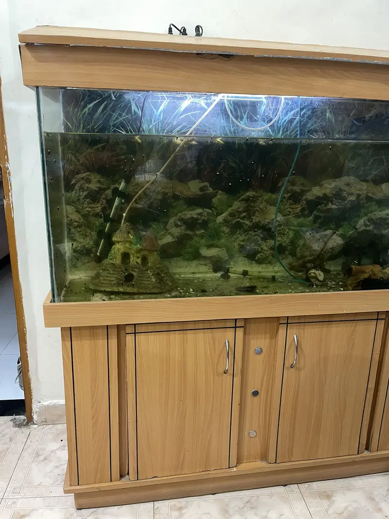 Fish Aquarium 57 x 29 x 20.5 — photo 4