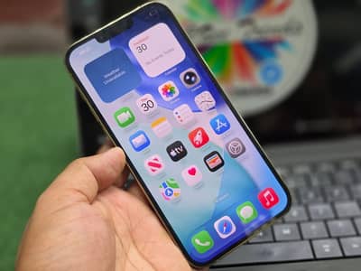 i phone 13 pro max