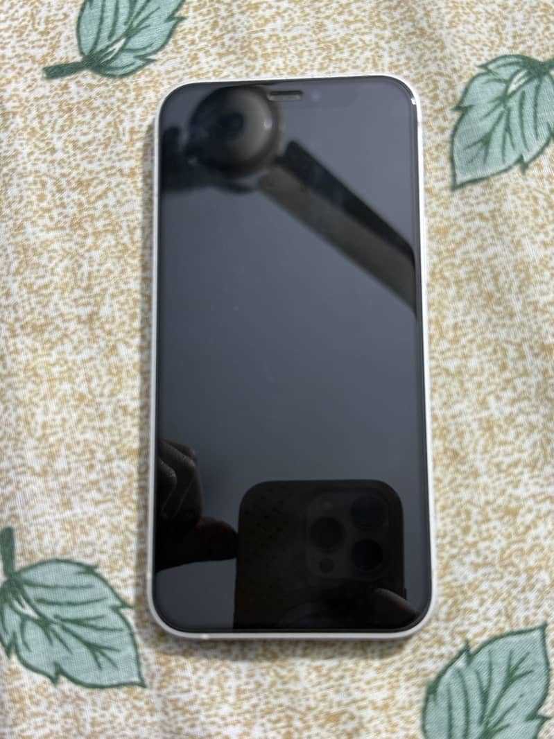 Apple iPhone 12 mini 1