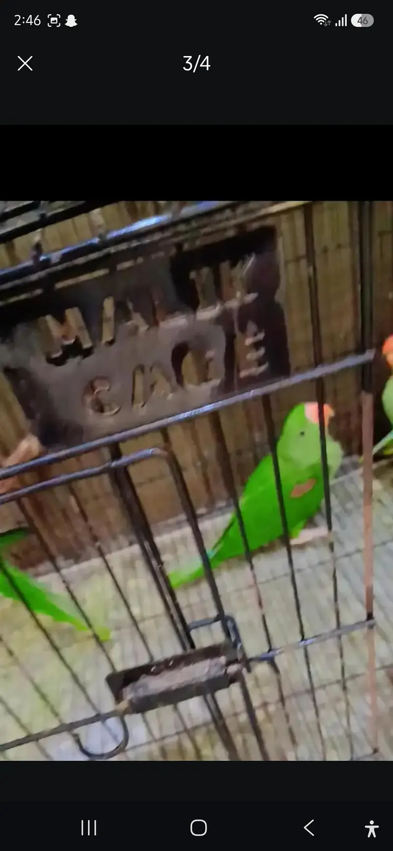 cage for sale 3 by 1.5 — photo 2