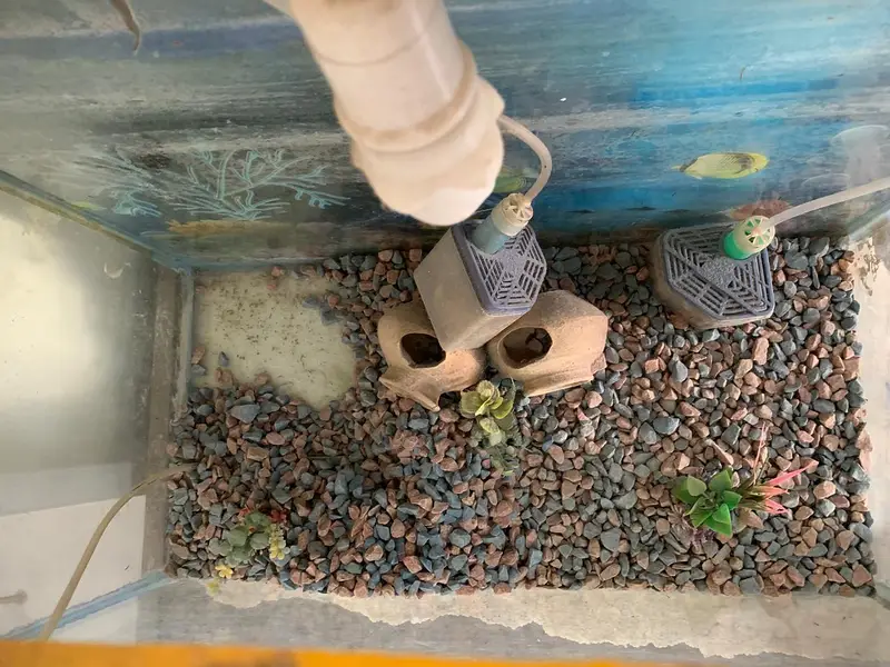 aquarium — photo 3