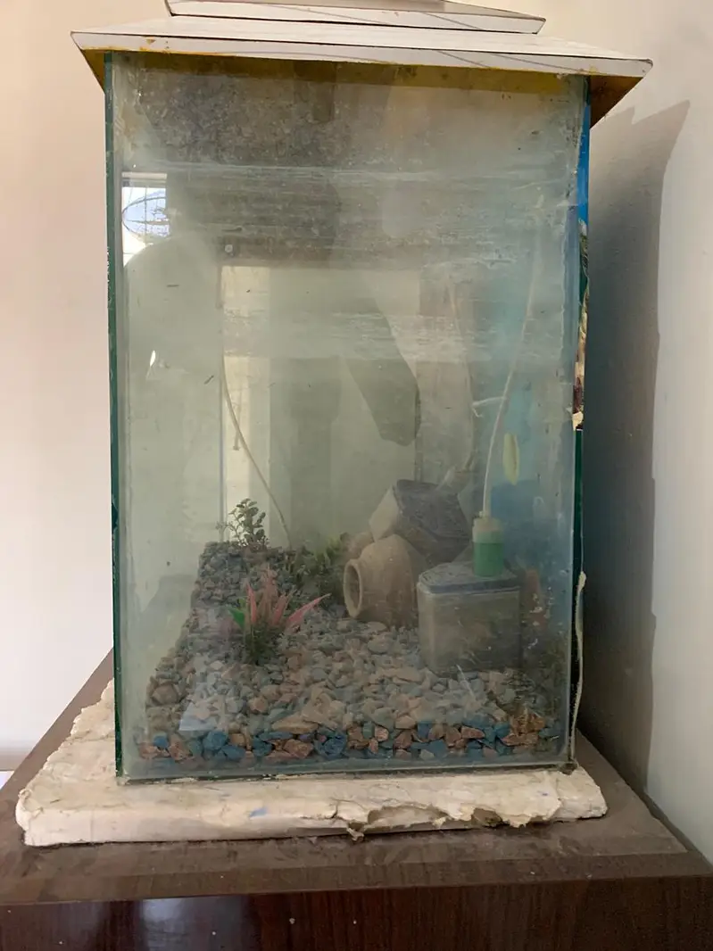 aquarium — photo 4