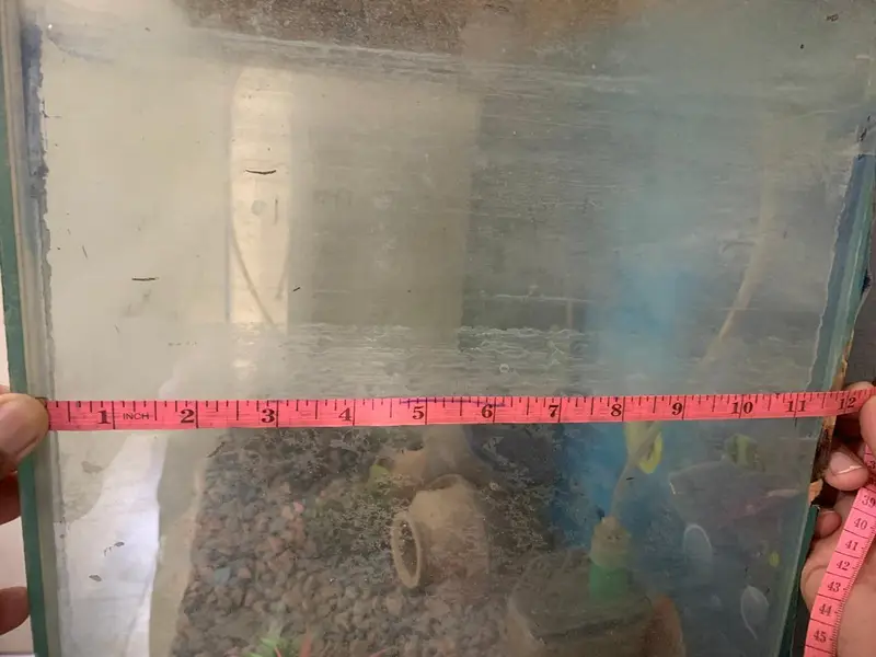 aquarium — photo 5