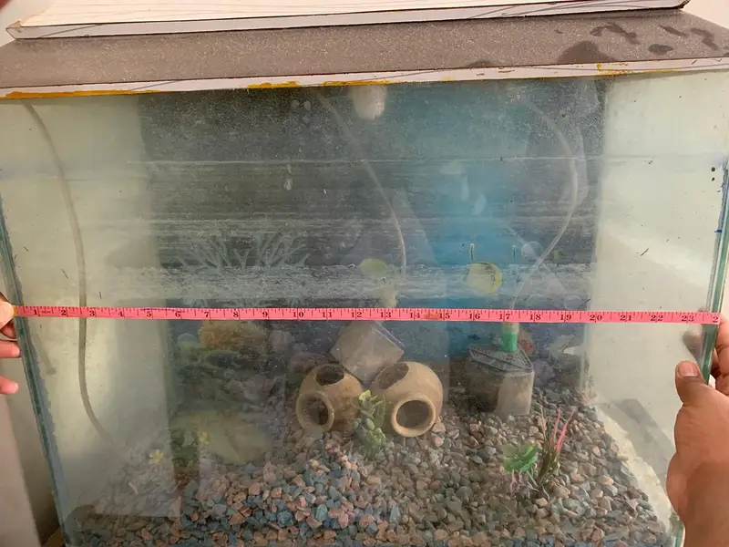 aquarium — photo 6