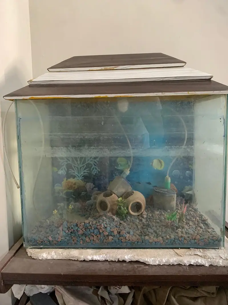 aquarium — photo 8