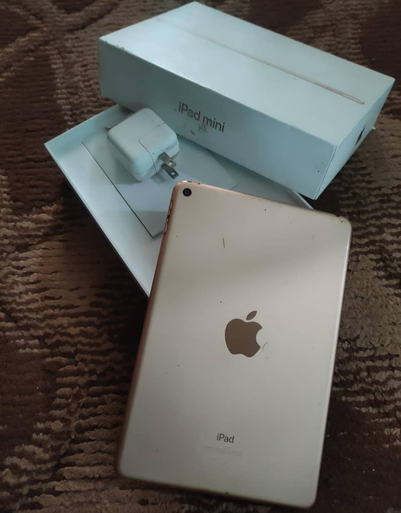 iPad mini 5 best condition 0