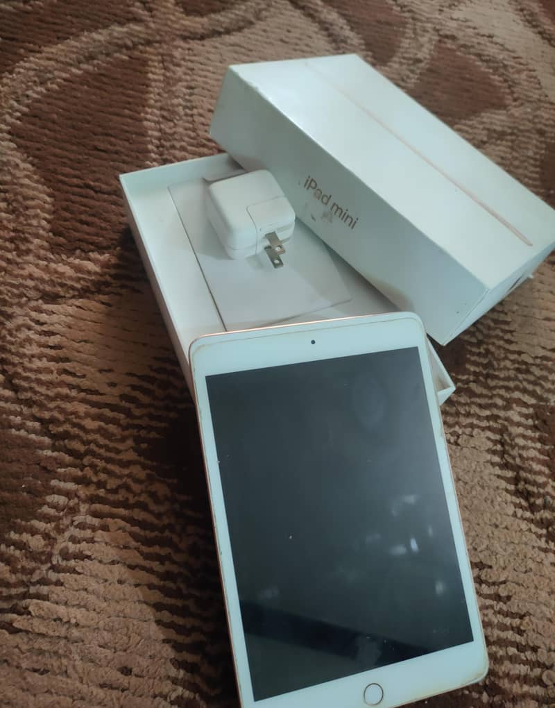 iPad mini 5 best condition 1