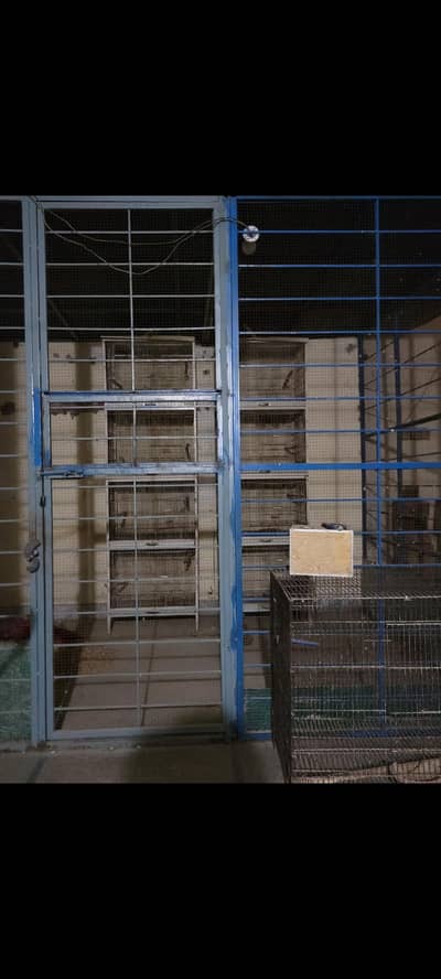 cages up for sale