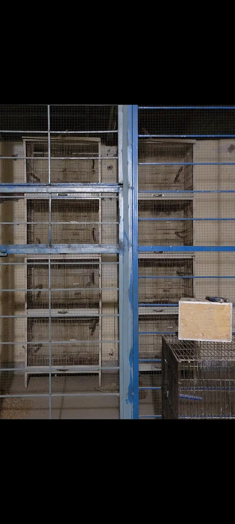 cages up for sale — photo 2