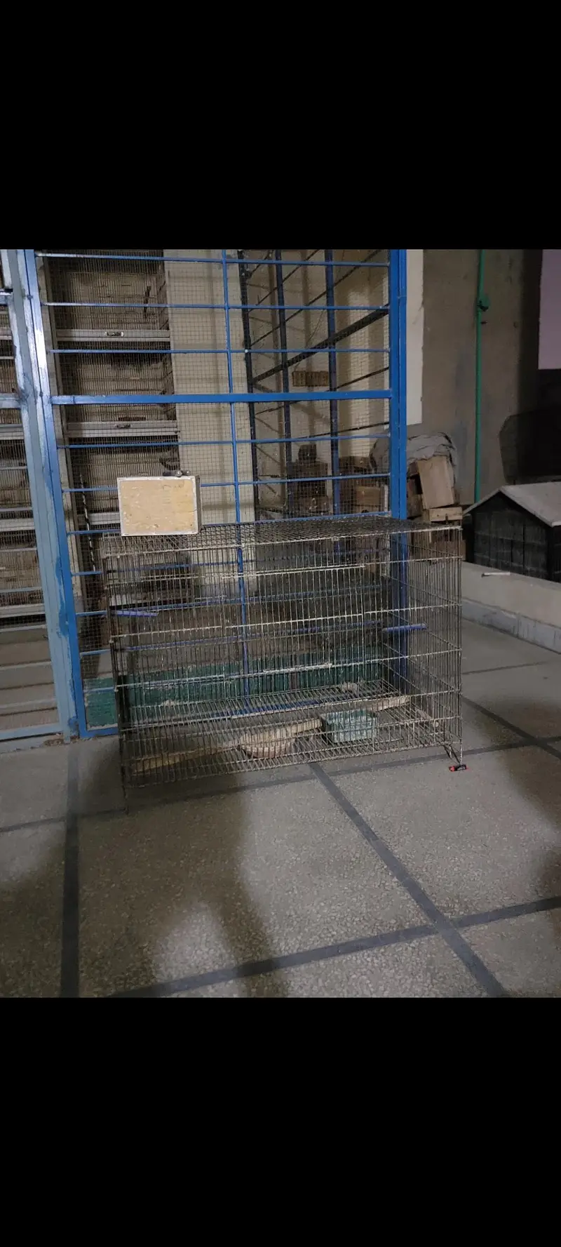 cages up for sale — photo 3