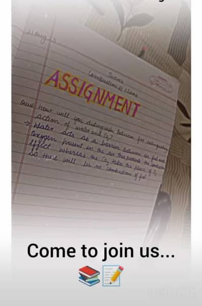 assignment writing