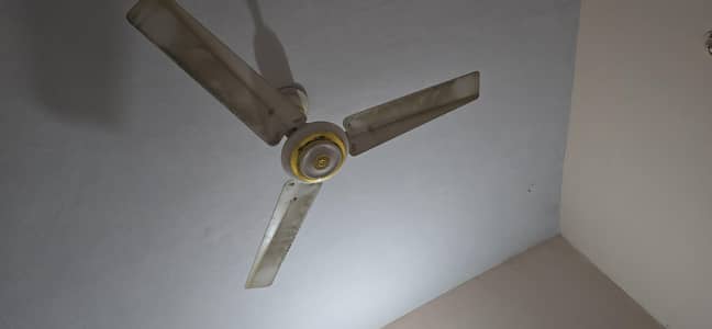 royal fan ceiling fan