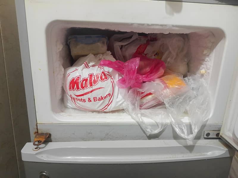 fridge 2