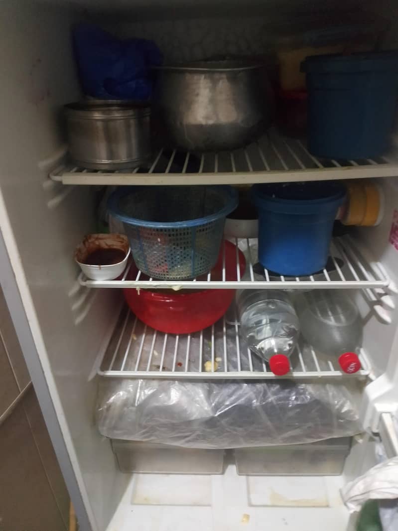 fridge 3