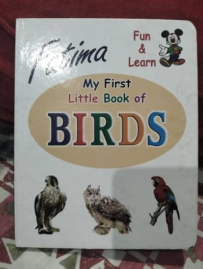 kid educational board books set of 3|vegetables. body parts. birds