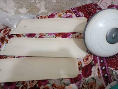 fan for sale