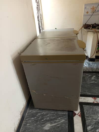 freezer name dowlance