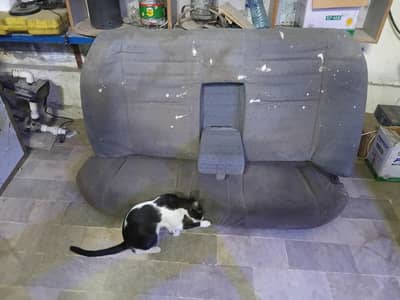 seat back onli