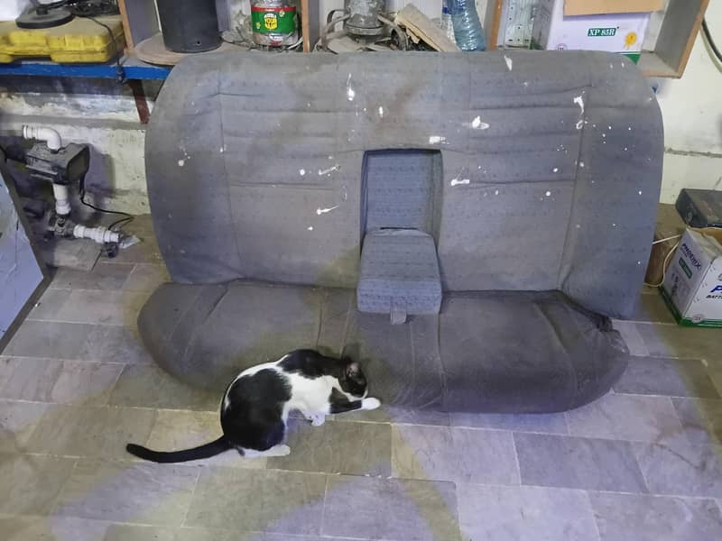 seat back onli 0