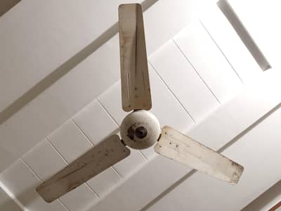 ceiling fan for sale