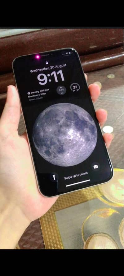 Apple iPhone X