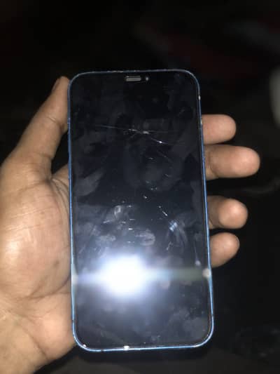 Apple iPhone 12