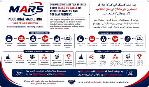 Marketing Professional