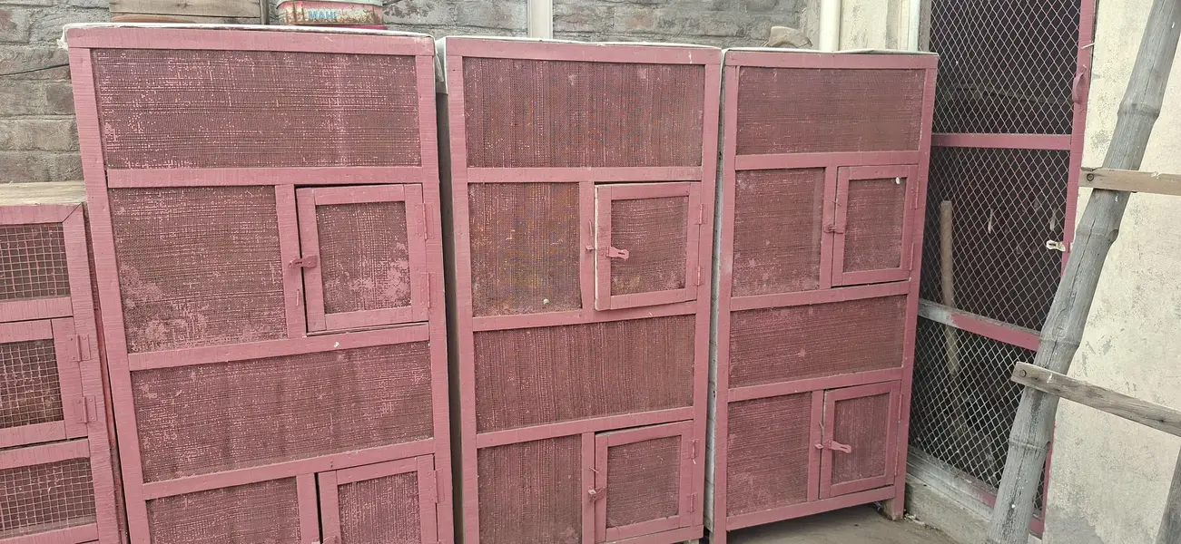 Jafri and pigeon boxes — photo 2