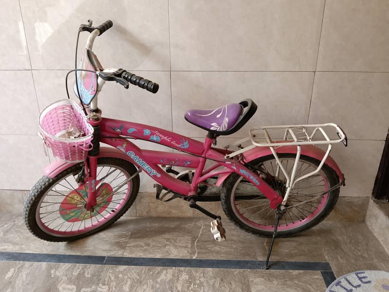 Barbie Cycle 1