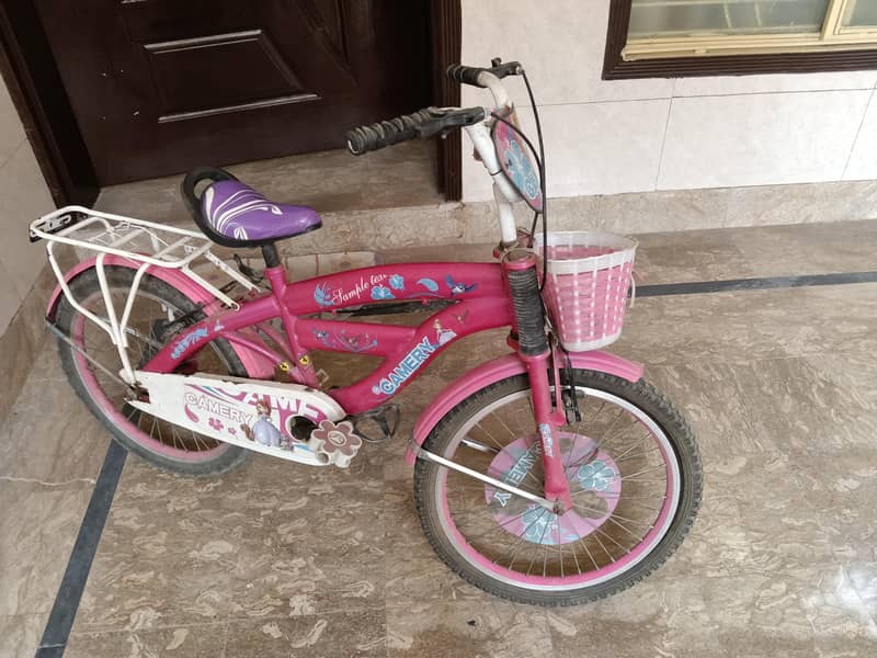 Barbie Cycle 2