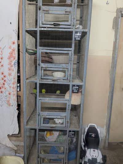 Bird Cage
