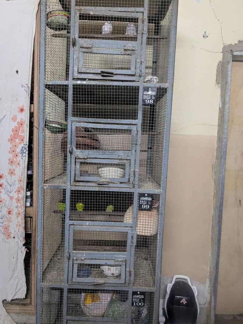 Bird Cage 3