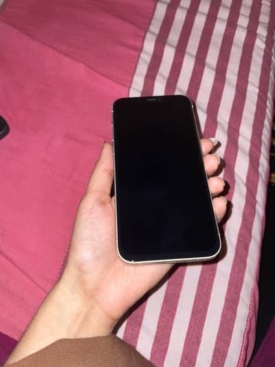 Apple iPhone 12