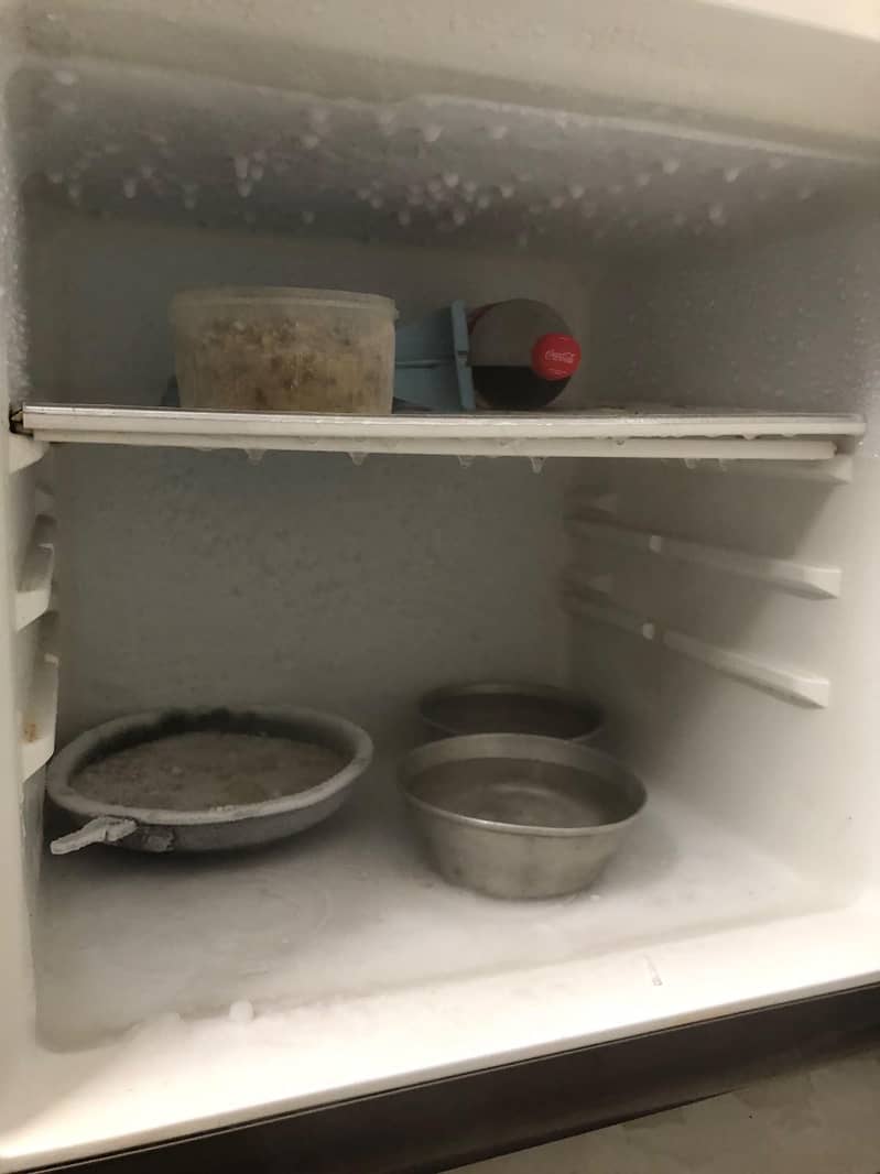 freezer 3