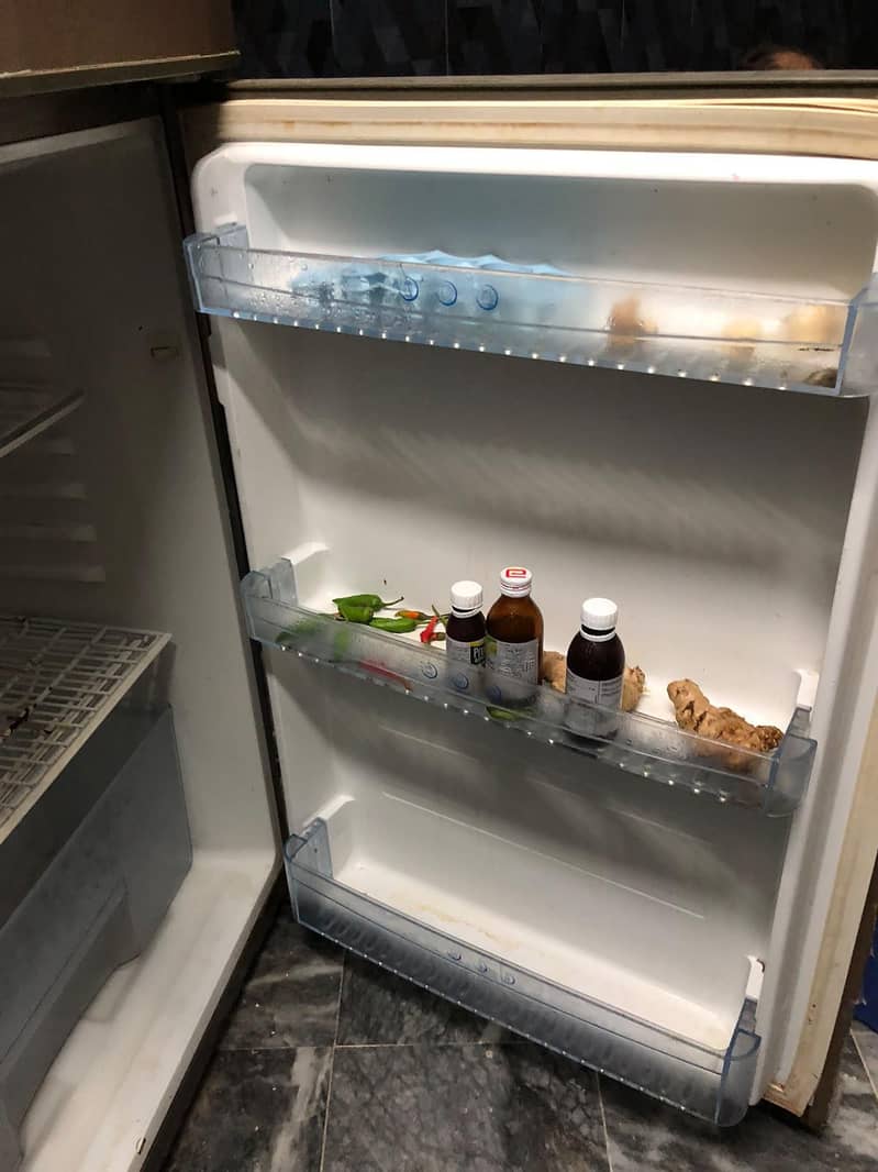freezer 6
