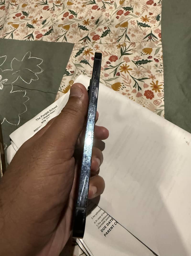 Apple iPhone 12 Pro Max 2