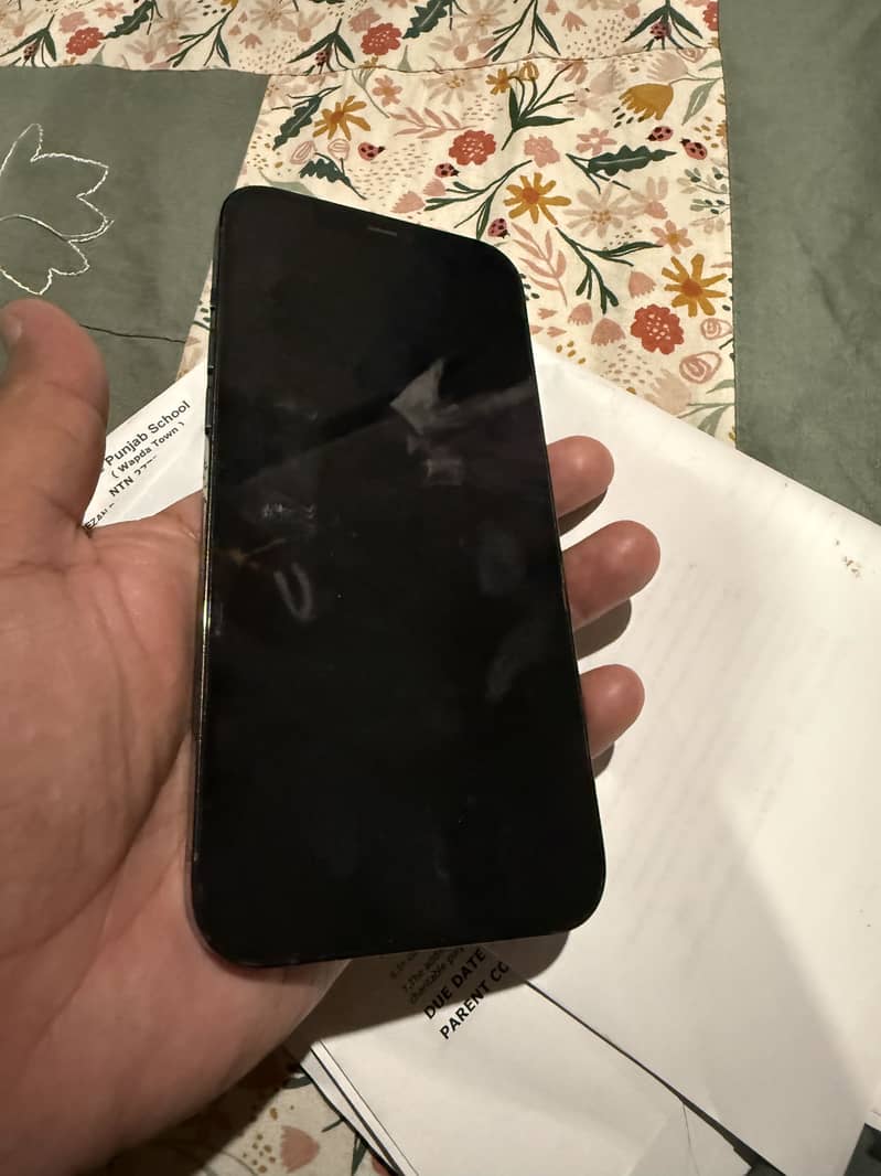 Apple iPhone 12 Pro Max 3
