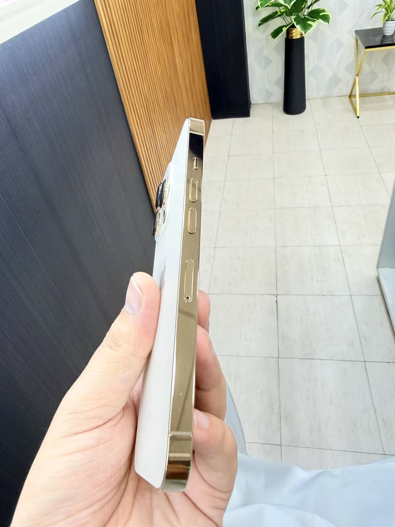 Apple iPhone 13 Pro 1