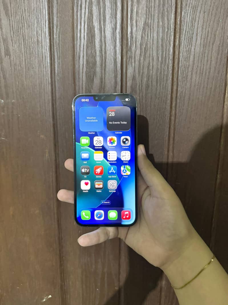 Apple iPhone 13 Pro Max 1